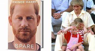 Image result for Get Hitched Spare Harry