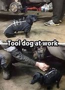 Image result for Tool Dog Meme
