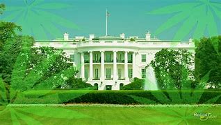 Image result for White House Green Light