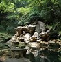 Image result for Chinese Garden