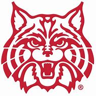 Image result for Wildcats Cute SVG