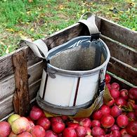Image result for Fruit Picking Bucket