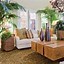 Image result for Living Room Plants Contemporary