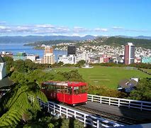 Image result for Wellington New Zealand World Cup