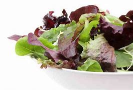 Image result for Baby Salad Greens Coloured Mesclun
