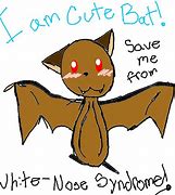 Image result for Cute Bat Eon