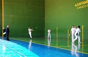 Image result for frontenis