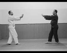 Image result for Real Aikido