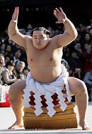 Image result for What Is an Oshi in Sumo Wrestling