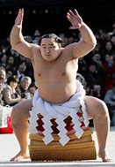 Image result for Sumo Wrestling Tournaments