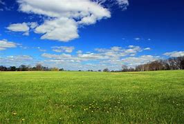 Image result for Grass Field Background HD