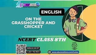Image result for Cricket Written Image