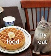 Image result for Cute Cat Food Memes