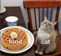 Image result for Need Food Cat Memes