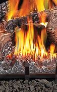 Image result for Gas Log Fireplace Inserts