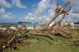 Image result for Typhoon Pongsona Slams Guam