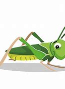 Image result for Cricket Animal with an Cigarette Animation