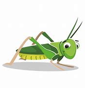 Image result for Happy Cricket Insect