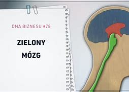 Image result for co_to_znaczy_zielony_dwór