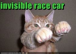 Image result for Cat Invisible Motorcycle