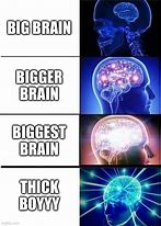 Image result for Biggest Brain Meme