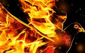 Image result for Holy Spirit Consuming Fire Ai