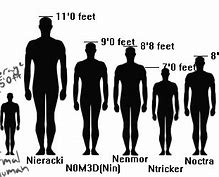 Image result for 6Ft Tall Guy
