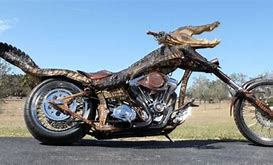 Image result for Alligator Motorcycle