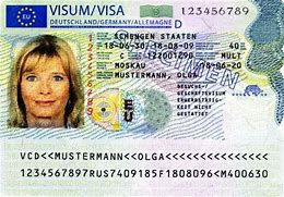 Image result for Visa Sticker