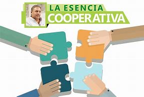 Image result for cooperativa