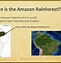 Image result for Abiotic Factors in the Amazon Rainforest