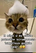Image result for Pookie Cat Meme