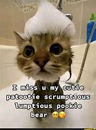 Image result for Waiting for Pookie Meme