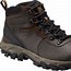 Image result for Columbia Newton Ridge Plus II Hiking Boots