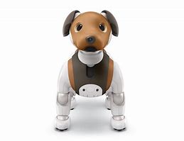 Image result for Aibo Robot Dog Colors