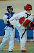Image result for Taekwondo Equipment with Label Blue and Red Tag