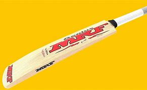 Image result for Moeen Ali Cricket Bat