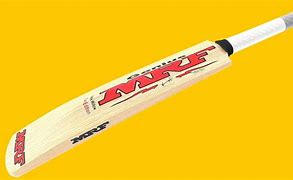 Image result for New Cricket Bat