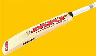 Image result for Standard Cricket Bat