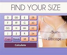 Image result for Bra Size Calculator Accurate