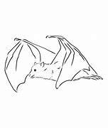 Image result for Bat Sketch