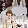 Image result for Princess Mononoke DVD