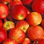 Image result for Apple Core