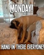 Image result for Funny Work Meme Hang in There