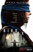 Image result for Bird Box 2018 Movie