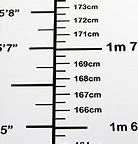 Image result for How Big Is 4 Meters