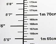 Image result for 4 Metres