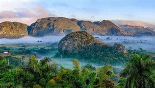 Image result for Cuba Nature