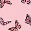 Image result for Pink Aesthetic Butterfly Stationary