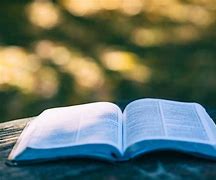 Image result for Bible Reading Challenge for Kids